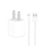 iPhone USB 5W Power Adaptor US Pin With Lightning To USB Cable